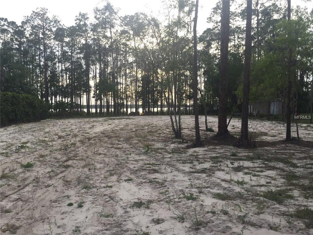 13014 ROBERTS ISLAND ROAD ORLANDO, Florida 32832, ,Vacant land,For sale,ROBERTS ISLAND,O5561178