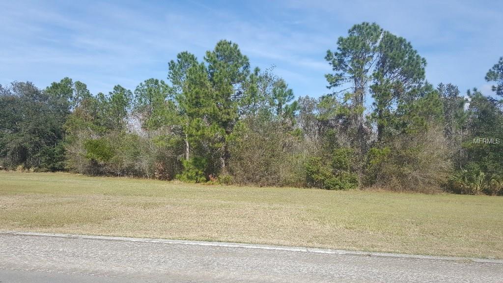 BLUE HERON CIRCLE, TAVARES, Florida 32778, ,Vacant land,For sale,BLUE HERON,G4852666