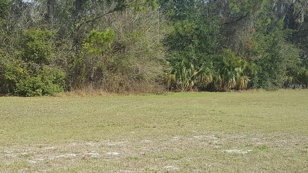 BLUE HERON CIRCLE, TAVARES, Florida 32778, ,Vacant land,For sale,BLUE HERON,G4852666