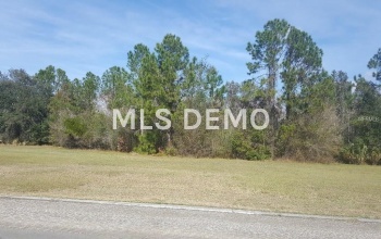 BLUE HERON CIRCLE, TAVARES, Florida 32778, ,Vacant land,For sale,BLUE HERON,G4852666