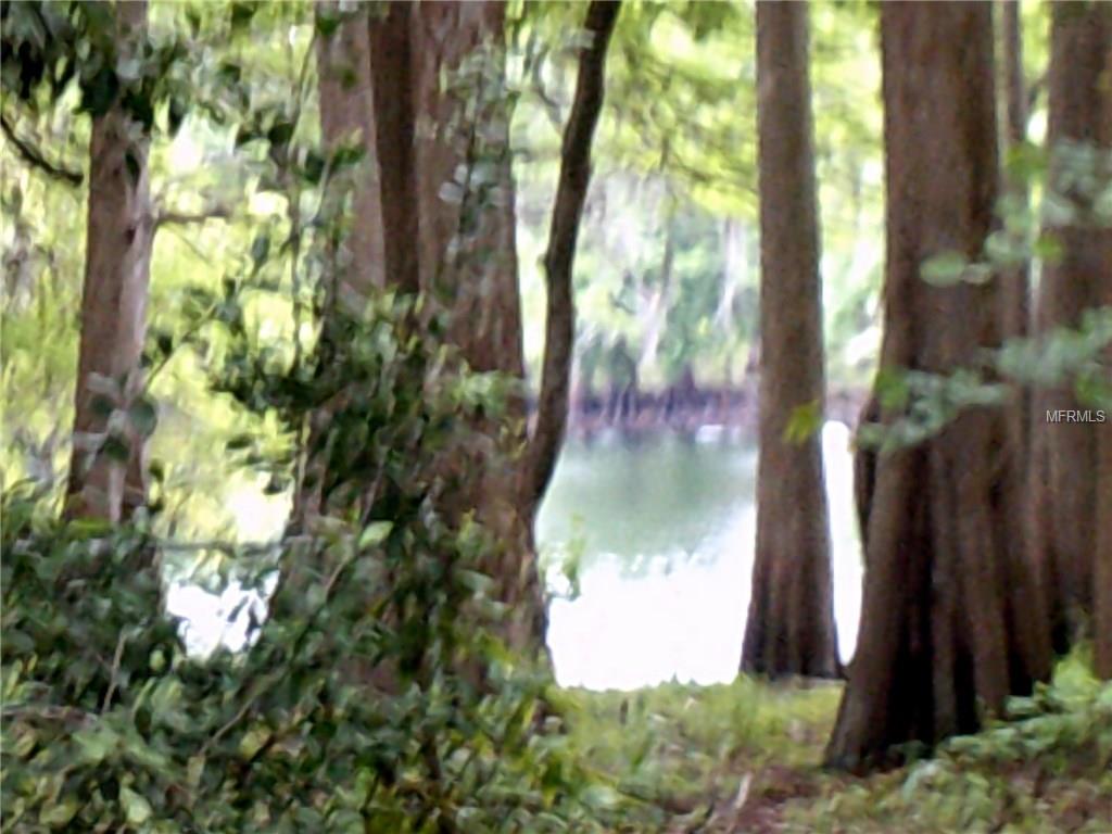 8548 CAMEO DRIVE, NEW PORT RICHEY, Florida 34654, ,Income,Short-term,CAMEO,W7636033