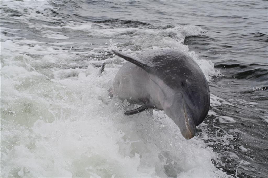 24347 MATIAS LANE, PUNTA GORDA, Florida 33955, ,Vacant land,For sale,MATIAS,C7230785