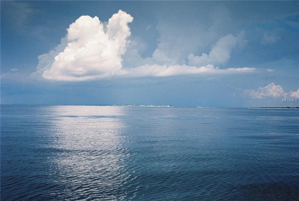 24347 MATIAS LANE, PUNTA GORDA, Florida 33955, ,Vacant land,For sale,MATIAS,C7230785