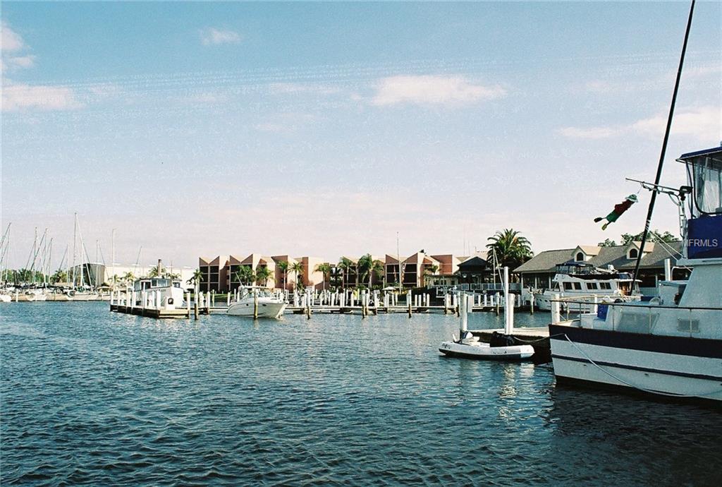 24347 MATIAS LANE, PUNTA GORDA, Florida 33955, ,Vacant land,For sale,MATIAS,C7230785