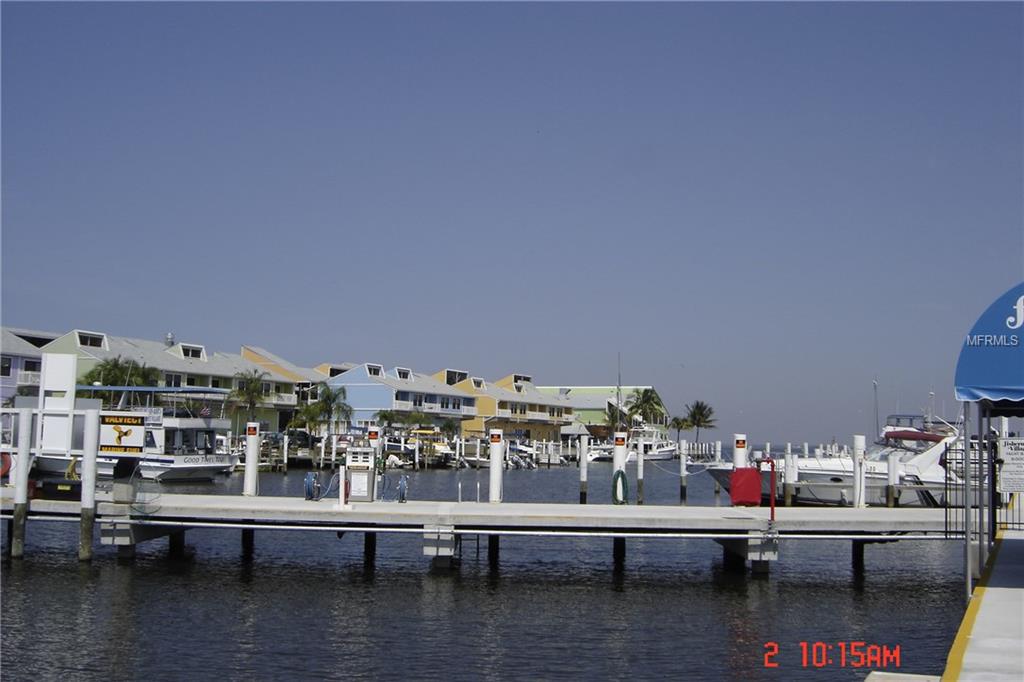 24347 MATIAS LANE, PUNTA GORDA, Florida 33955, ,Vacant land,For sale,MATIAS,C7230785