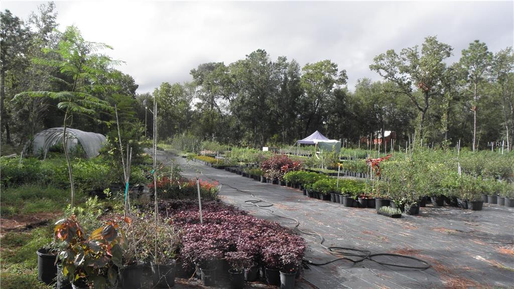 9173 KINDLEWOOD TRAIL, BROOKSVILLE, Florida 34613, ,Vacant land,For sale,KINDLEWOOD,H2204188