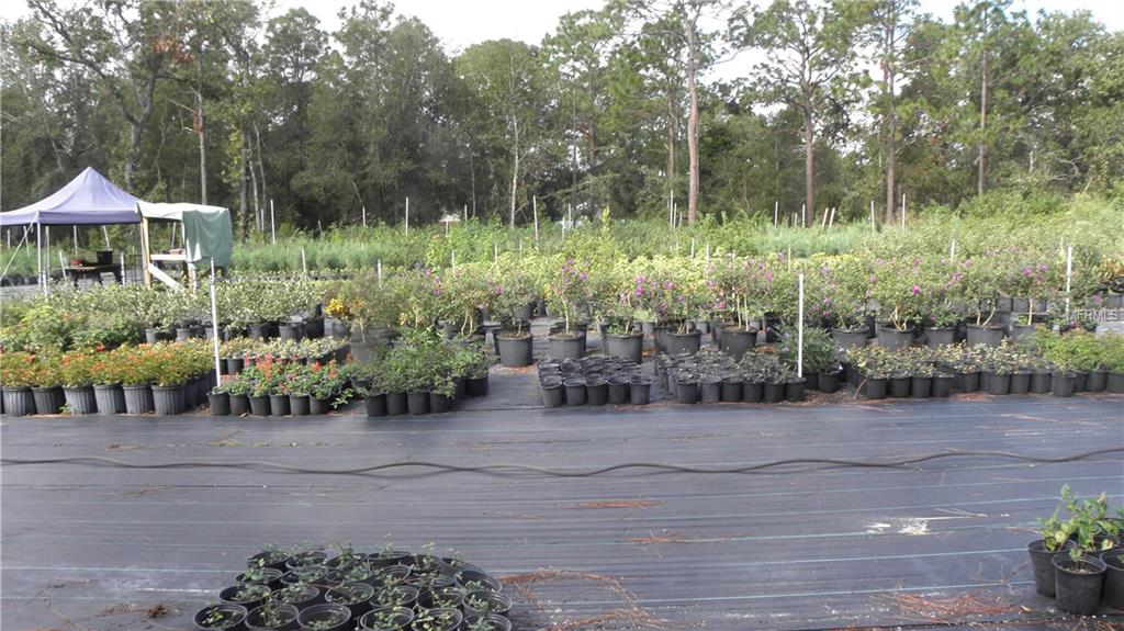 9173 KINDLEWOOD TRAIL, BROOKSVILLE, Florida 34613, ,Vacant land,For sale,KINDLEWOOD,H2204188