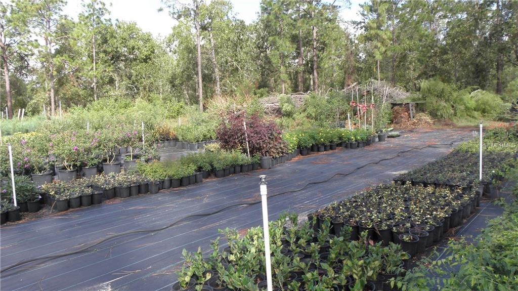 9173 KINDLEWOOD TRAIL, BROOKSVILLE, Florida 34613, ,Vacant land,For sale,KINDLEWOOD,H2204188