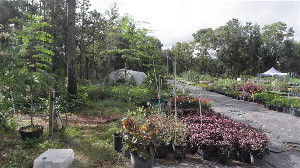 9173 KINDLEWOOD TRAIL, BROOKSVILLE, Florida 34613, ,Vacant land,For sale,KINDLEWOOD,H2204188