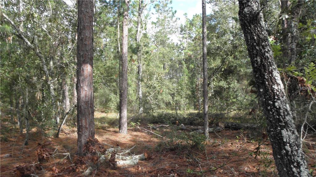 9173 KINDLEWOOD TRAIL, BROOKSVILLE, Florida 34613, ,Vacant land,For sale,KINDLEWOOD,H2204188
