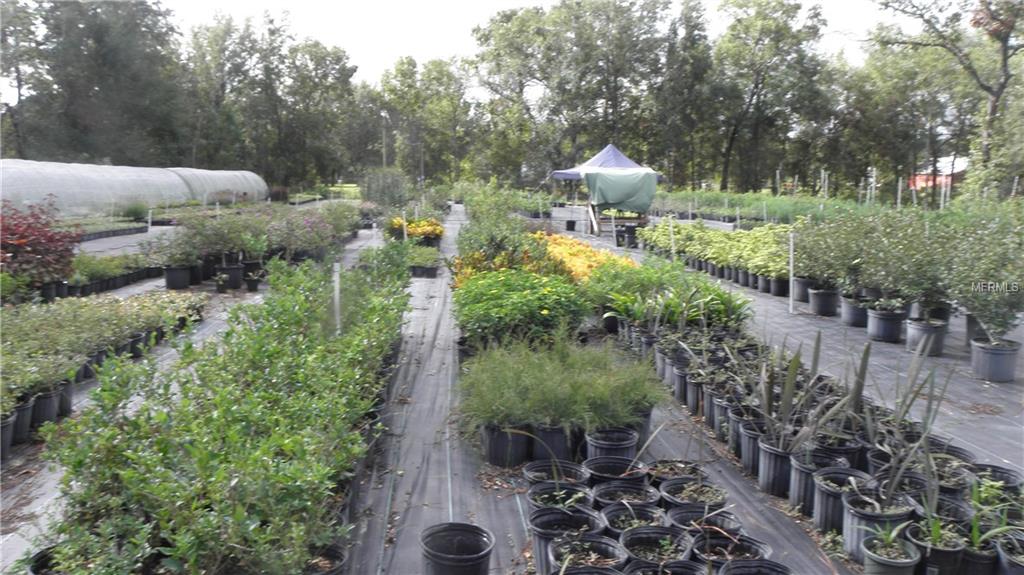 9173 KINDLEWOOD TRAIL, BROOKSVILLE, Florida 34613, ,Vacant land,For sale,KINDLEWOOD,H2204188