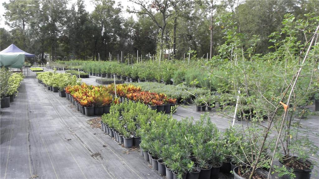 9173 KINDLEWOOD TRAIL, BROOKSVILLE, Florida 34613, ,Vacant land,For sale,KINDLEWOOD,H2204188