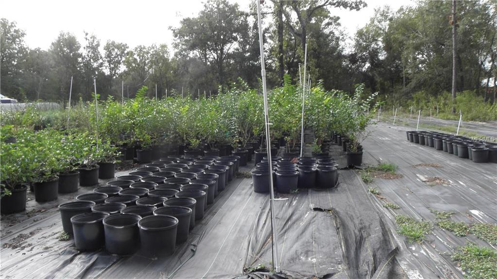 9173 KINDLEWOOD TRAIL, BROOKSVILLE, Florida 34613, ,Vacant land,For sale,KINDLEWOOD,H2204188