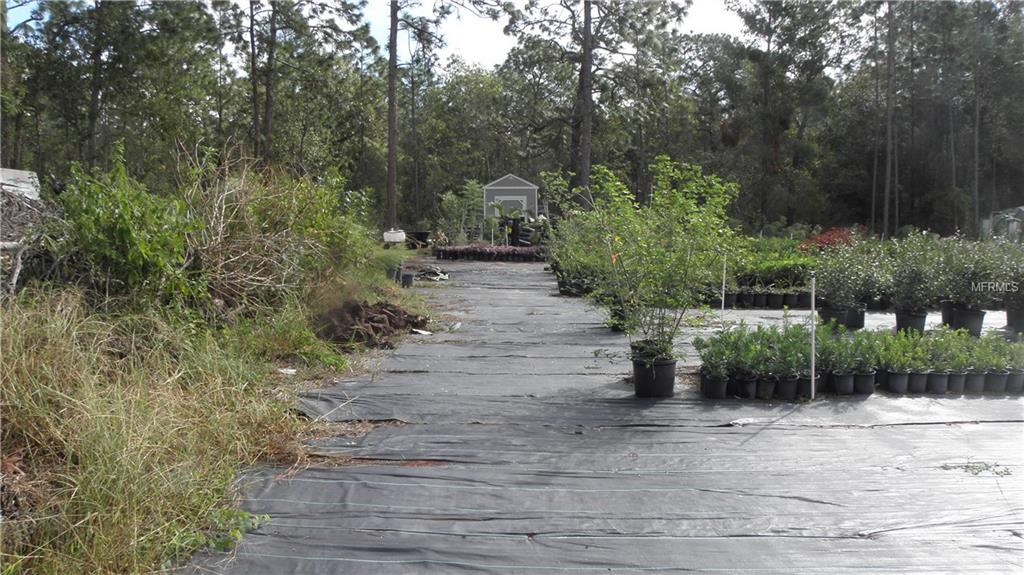 9173 KINDLEWOOD TRAIL, BROOKSVILLE, Florida 34613, ,Vacant land,For sale,KINDLEWOOD,H2204188