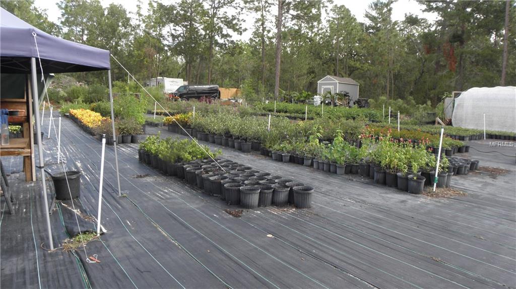 9173 KINDLEWOOD TRAIL, BROOKSVILLE, Florida 34613, ,Vacant land,For sale,KINDLEWOOD,H2204188