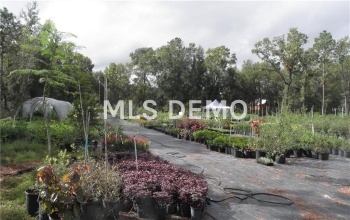 9173 KINDLEWOOD TRAIL, BROOKSVILLE, Florida 34613, ,Vacant land,For sale,KINDLEWOOD,H2204188