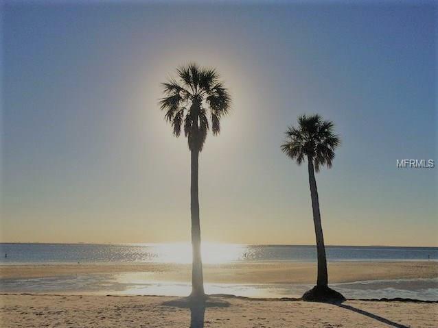 7021 OAKWOOD DRIVE, NEW PORT RICHEY, Florida 34652, ,Income,For sale,OAKWOOD,U7847041