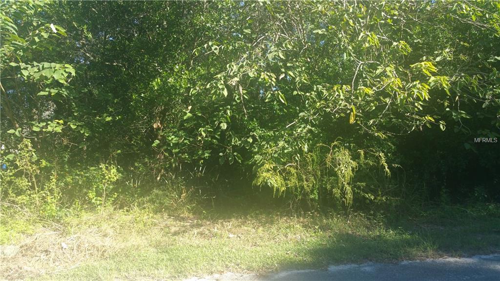 TIMMONS LOOP, THONOTOSASSA, Florida 33592, ,Vacant land,For sale,TIMMONS,T2910275