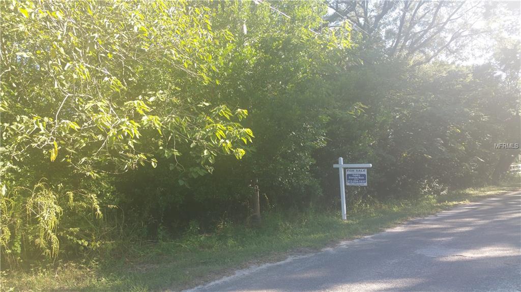 TIMMONS LOOP, THONOTOSASSA, Florida 33592, ,Vacant land,For sale,TIMMONS,T2910275