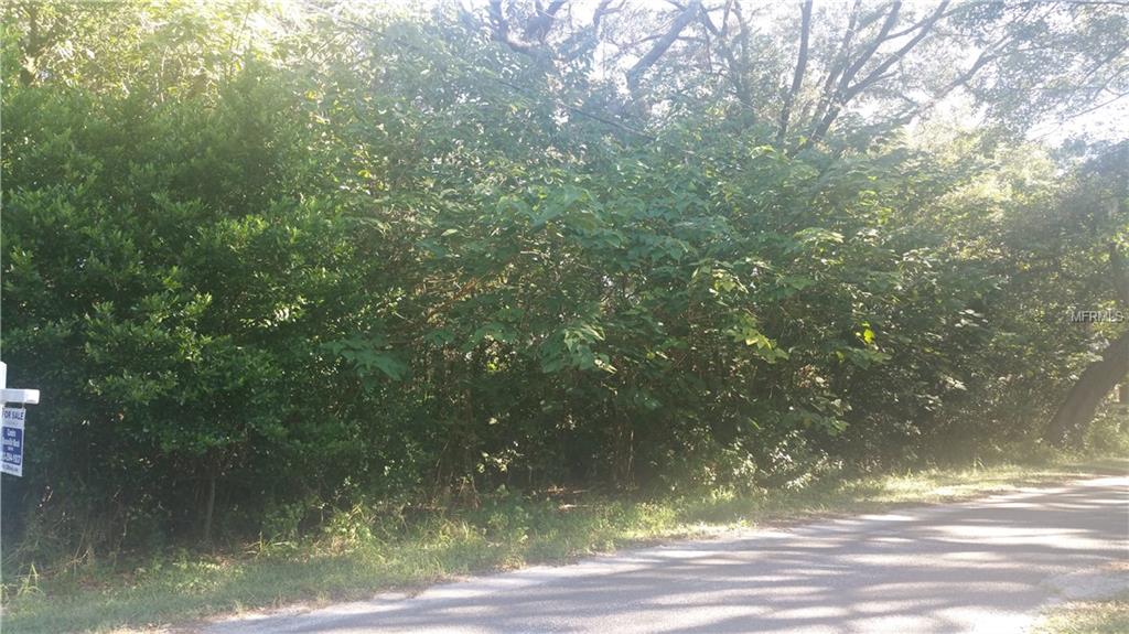 TIMMONS LOOP, THONOTOSASSA, Florida 33592, ,Vacant land,For sale,TIMMONS,T2910275