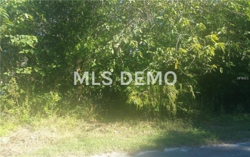 TIMMONS LOOP, THONOTOSASSA, Florida 33592, ,Vacant land,For sale,TIMMONS,T2910275