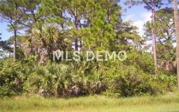 5867 DAVID BOULEVARD, PORT CHARLOTTE, Florida 33981, ,Vacant land,For sale,DAVID,C7231251