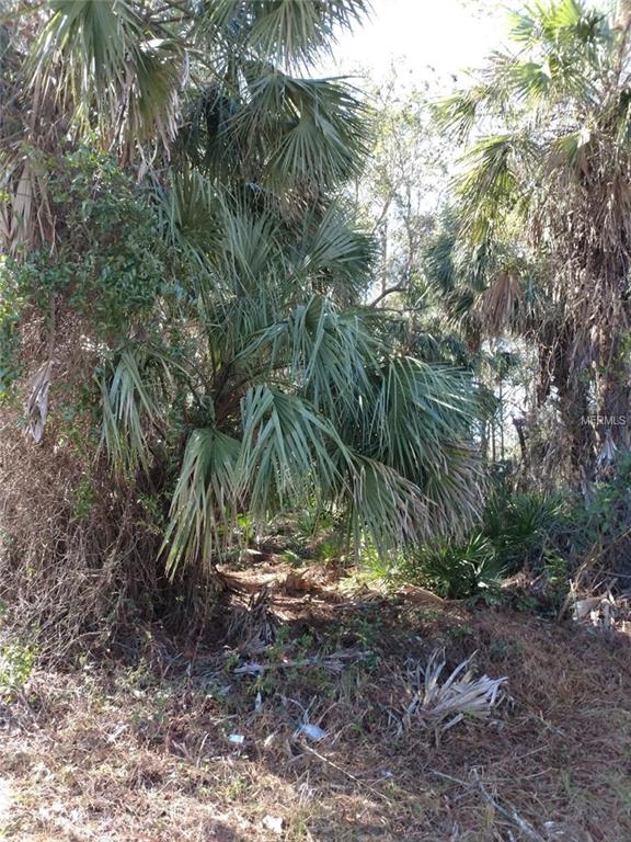 17331 HILLSBOROUGH BOULEVARD, PORT CHARLOTTE, Florida 33954, ,Vacant land,For sale,HILLSBOROUGH,C7249021