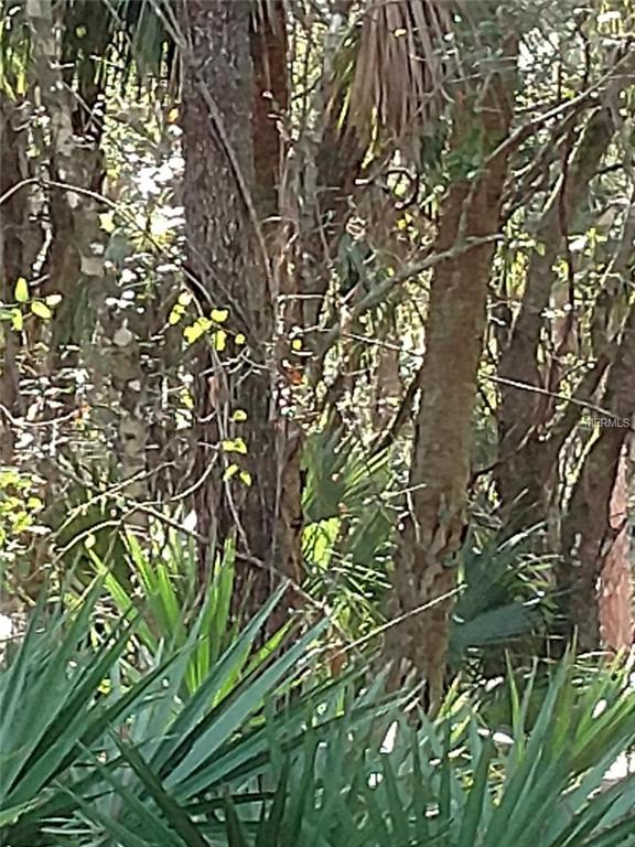 17331 HILLSBOROUGH BOULEVARD, PORT CHARLOTTE, Florida 33954, ,Vacant land,For sale,HILLSBOROUGH,C7249021