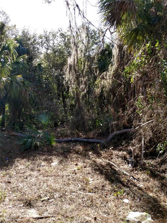 17331 HILLSBOROUGH BOULEVARD, PORT CHARLOTTE, Florida 33954, ,Vacant land,For sale,HILLSBOROUGH,C7249021