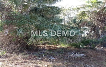 17331 HILLSBOROUGH BOULEVARD, PORT CHARLOTTE, Florida 33954, ,Vacant land,For sale,HILLSBOROUGH,C7249021