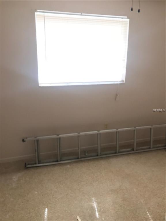 8715 N MANDARINE PLACE, TAMPA, Florida 33617, ,Income,Short-term,MANDARINE,T2928119