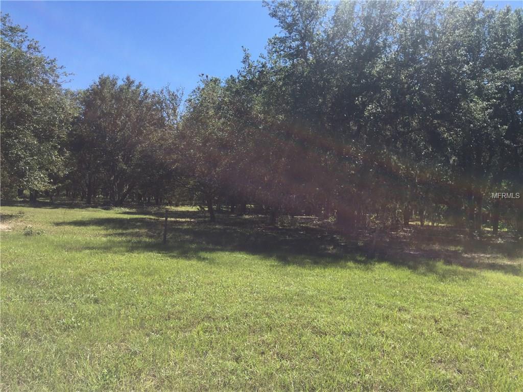 20622 QUEEN ALEXANDRA DRIVE, LEESBURG, Florida 34748, ,Vacant land,For sale,QUEEN ALEXANDRA,G4848635