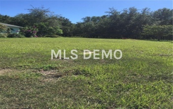 20622 QUEEN ALEXANDRA DRIVE, LEESBURG, Florida 34748, ,Vacant land,For sale,QUEEN ALEXANDRA,G4848635