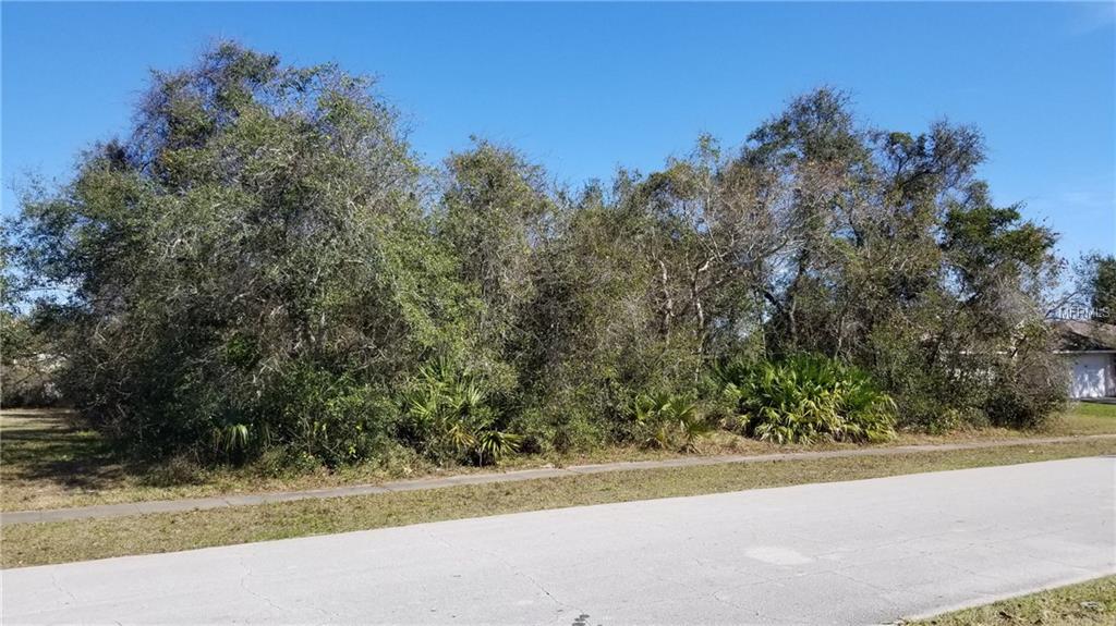 2525 ALBURY AVENUE, DELTONA, Florida 32738, ,Vacant land,For sale,ALBURY,V4722881