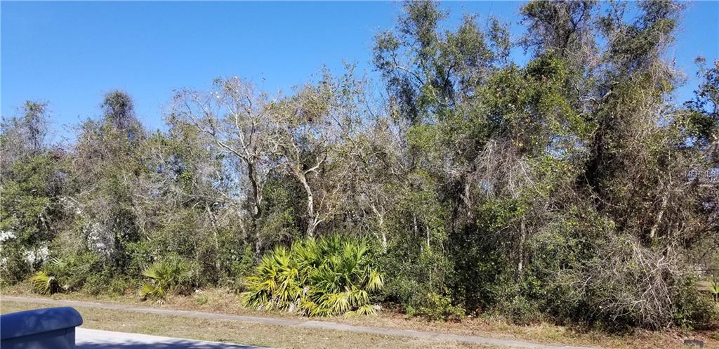 2525 ALBURY AVENUE, DELTONA, Florida 32738, ,Vacant land,For sale,ALBURY,V4722881