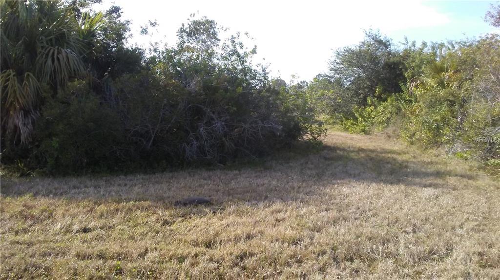 135 MEDALIST ROAD, ROTONDA WEST, Florida 33947, ,Vacant land,For sale,MEDALIST,D5922978