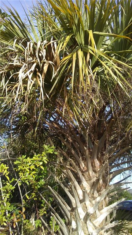 135 MEDALIST ROAD, ROTONDA WEST, Florida 33947, ,Vacant land,For sale,MEDALIST,D5922978