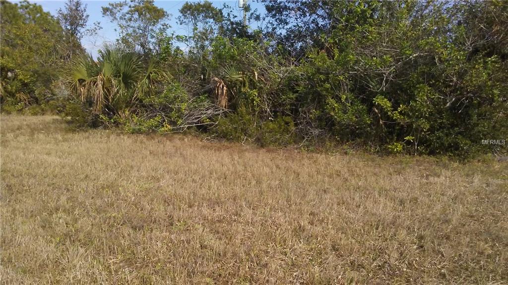 135 MEDALIST ROAD, ROTONDA WEST, Florida 33947, ,Vacant land,For sale,MEDALIST,D5922978