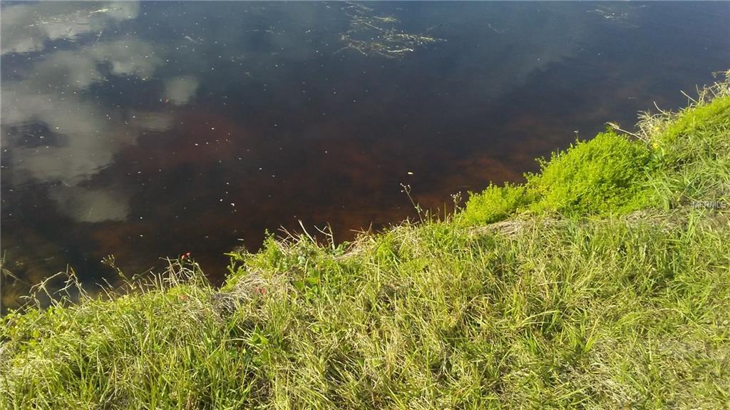 135 MEDALIST ROAD, ROTONDA WEST, Florida 33947, ,Vacant land,For sale,MEDALIST,D5922978