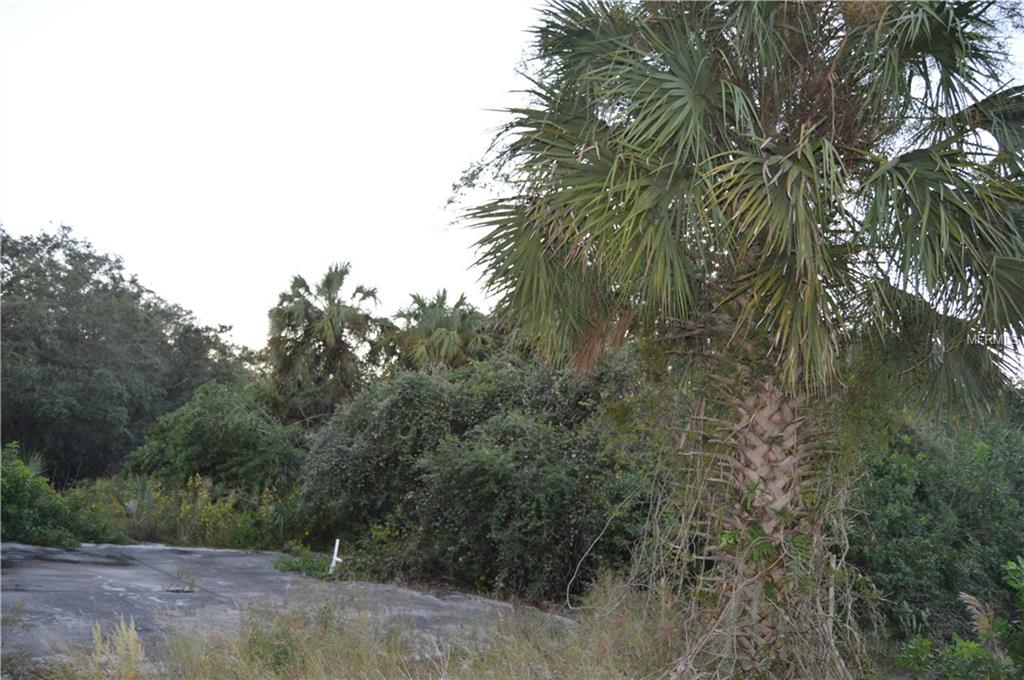 GADBOYS AVENUE, NORTH PORT, Florida 34291, ,Vacant land,For sale,GADBOYS,C7244971