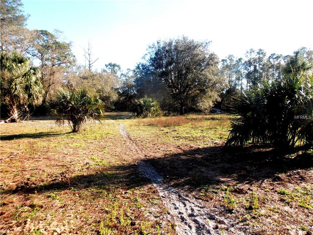 1195 PINEY WOODS TRAIL, OSTEEN, Florida 32764, ,Vacant land,For sale,PINEY WOODS,V4722892