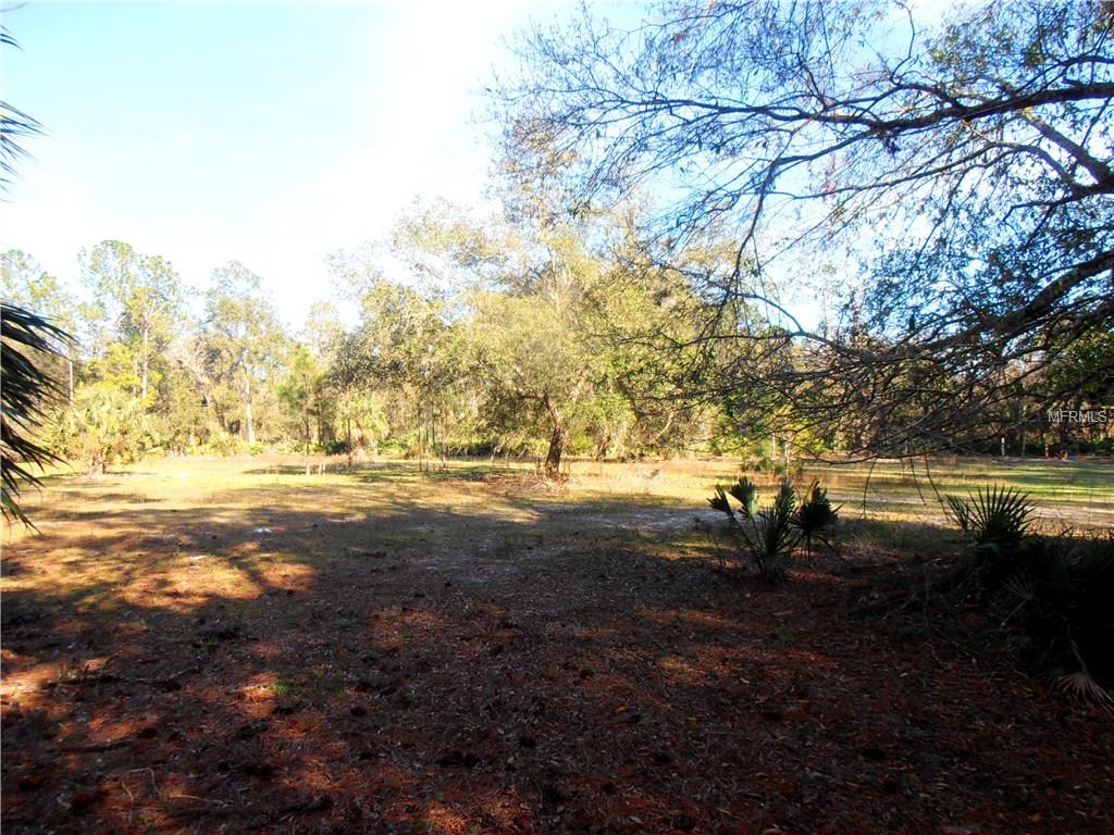 1195 PINEY WOODS TRAIL, OSTEEN, Florida 32764, ,Vacant land,For sale,PINEY WOODS,V4722892