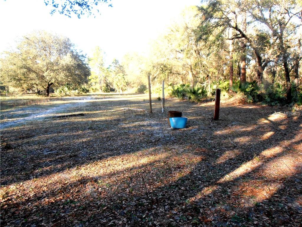 1195 PINEY WOODS TRAIL, OSTEEN, Florida 32764, ,Vacant land,For sale,PINEY WOODS,V4722892