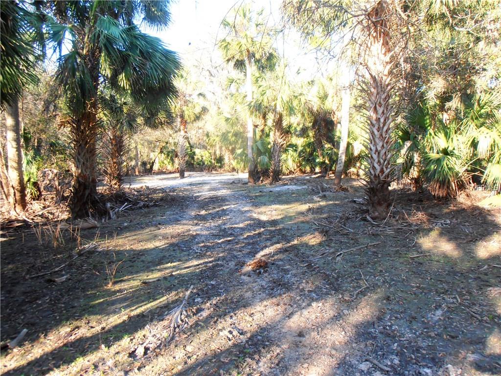 1195 PINEY WOODS TRAIL, OSTEEN, Florida 32764, ,Vacant land,For sale,PINEY WOODS,V4722892