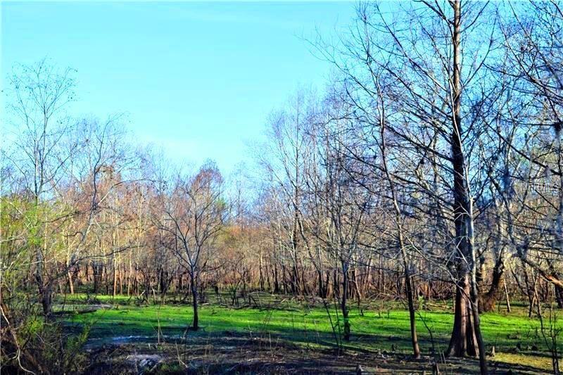 1195 PINEY WOODS TRAIL, OSTEEN, Florida 32764, ,Vacant land,For sale,PINEY WOODS,V4722892