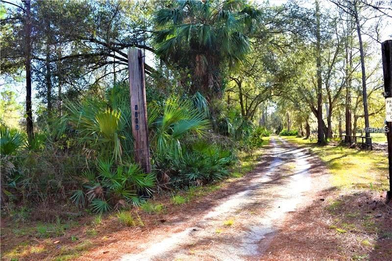 1195 PINEY WOODS TRAIL, OSTEEN, Florida 32764, ,Vacant land,For sale,PINEY WOODS,V4722892