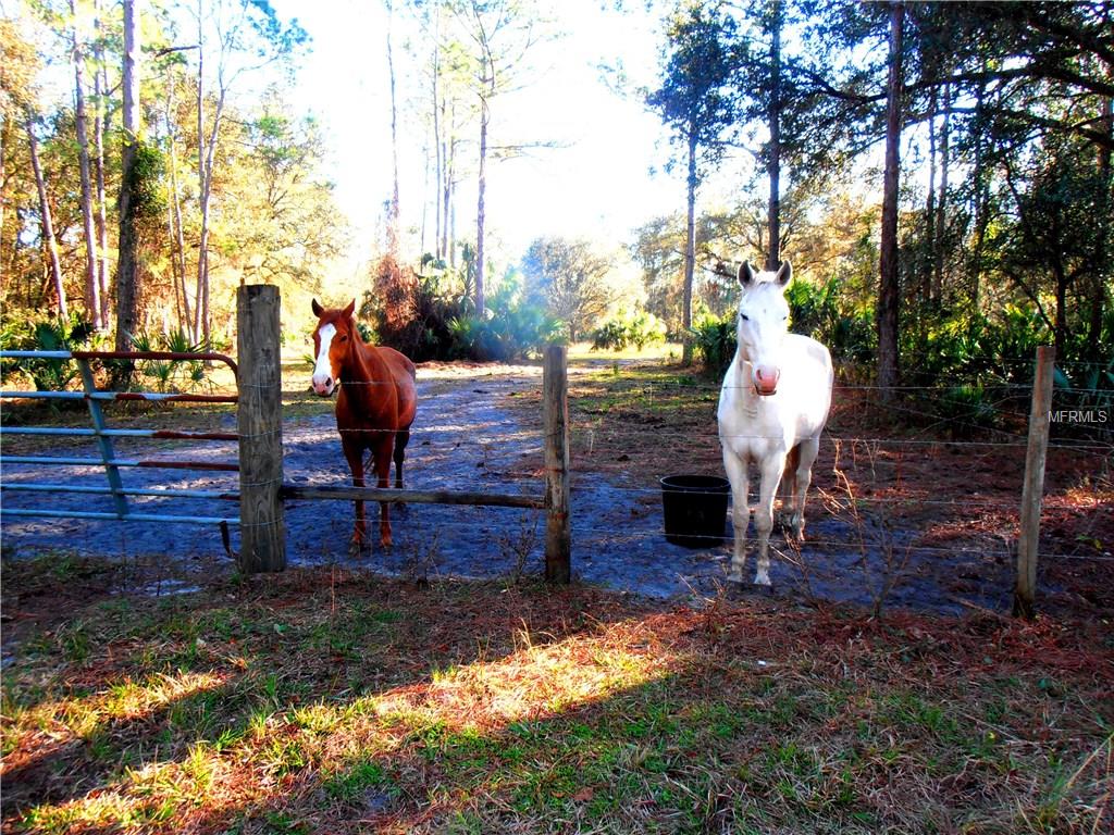 1195 PINEY WOODS TRAIL, OSTEEN, Florida 32764, ,Vacant land,For sale,PINEY WOODS,V4722892