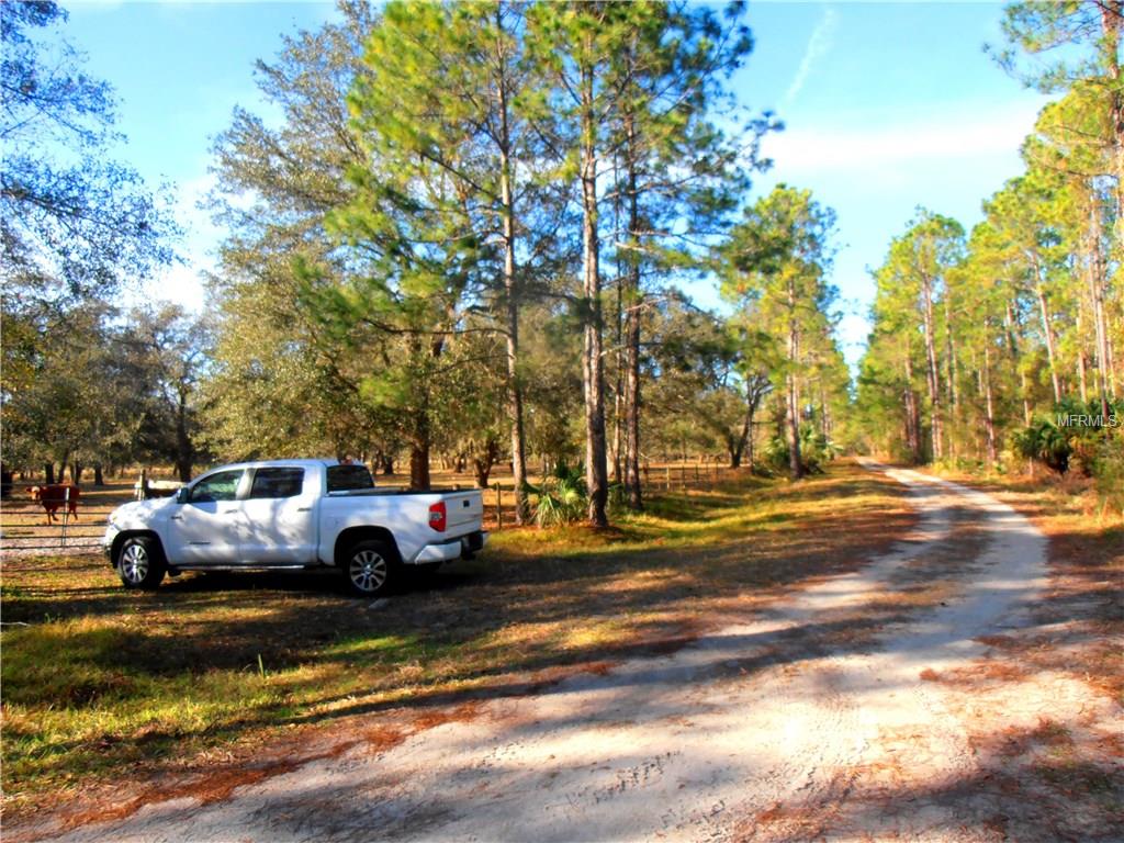 1195 PINEY WOODS TRAIL, OSTEEN, Florida 32764, ,Vacant land,For sale,PINEY WOODS,V4722892