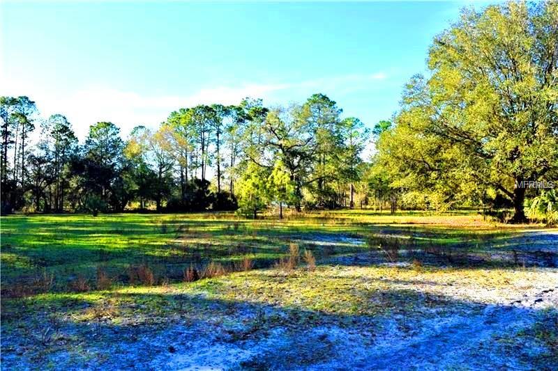 1195 PINEY WOODS TRAIL, OSTEEN, Florida 32764, ,Vacant land,For sale,PINEY WOODS,V4722892