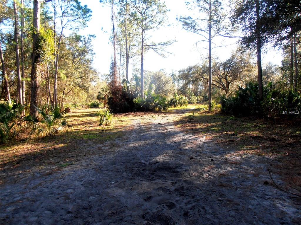 GEE WHIZ DRIVE, OSTEEN, Florida 32764, ,Vacant land,For sale,GEE WHIZ,V4722893